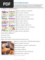 Download Oogy Wawa How to Say Cheers in 51 Different Languages by Kris Chislett SN33715052 doc pdf