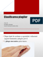 Clasificarea Plagilor 2B