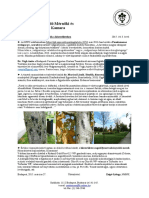 kozterulet_2015_03.pdf