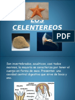 Los Celentereos