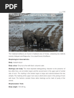 Kuttanad Buffalo Breed.docx