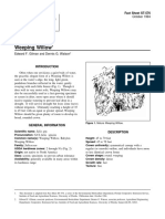 Salix Spp. Weeping Willow: Fact Sheet ST-576