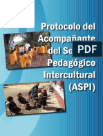 PROTOCOLO.ASPI.2017.pdf