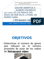 Caracterización Genética a Partir de La Morfometria Del