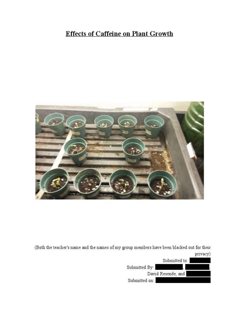 effectsofcaffeineonplantgrowth Coffee Fertilizer