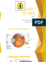Ablasio Retina
