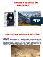 Endangered Species in Pakistan