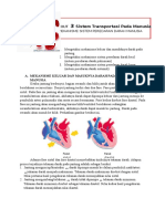 Handout Sistem Peredaran darahHUHUgcubcusu