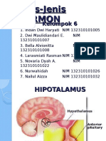 Kelompok 6 - Jenisjenis Hormon