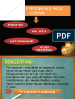 Sistem Pernapasan Pada Hewan