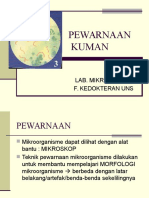 Pewarnaan Kuman