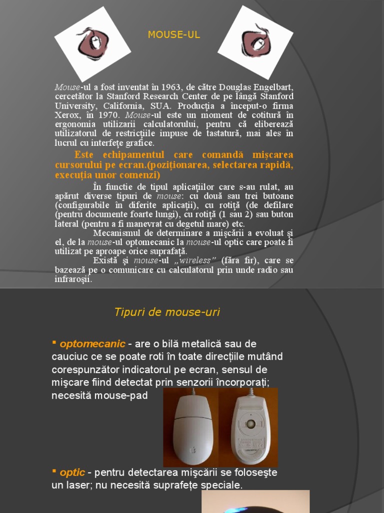Prezentare Mouse | PDF