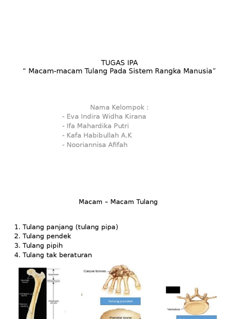  Sebutkan  4 Tulang Yang Berbentuk Pipih Seputar Bentuk