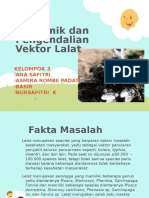 Pengendalian Vektor Lalat