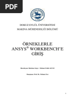 örneklerle ANSYS-PDF.pdf