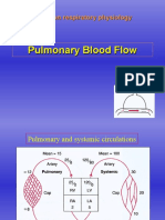 Blood Flow Video