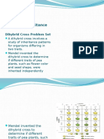 Dihybrid Inheritance: Dihybrid Cross Problem Set