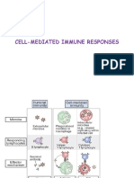 Cell-Mediated Immune Responses8