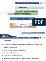 Micosis Oportunistas-FEOHIFOMICOSIS