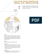 ST 13 PDF