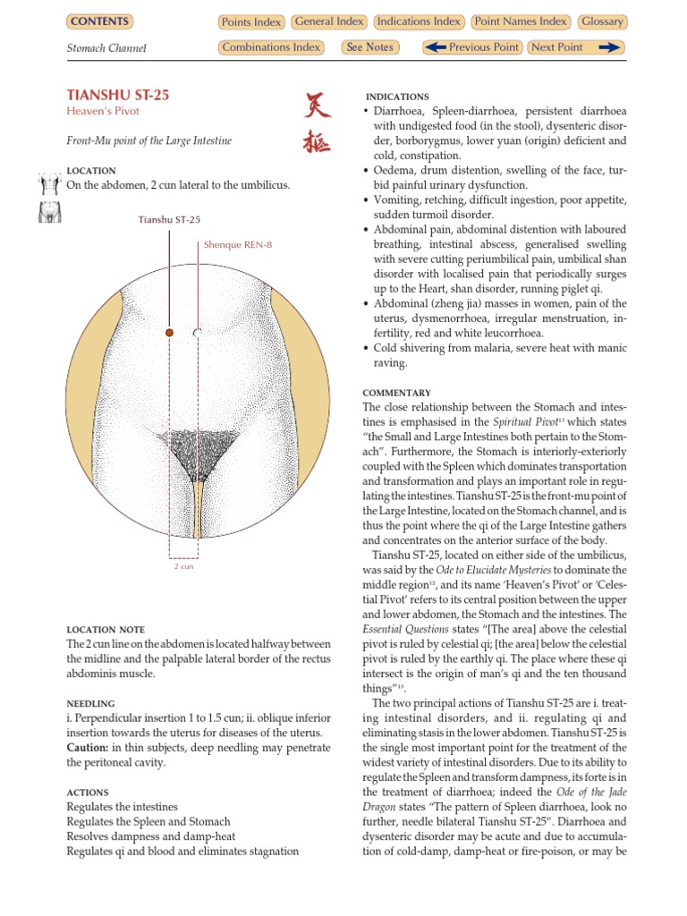 ST 25 PDF | PDF | Abdomen | Gastroenterology