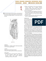 ST 45 PDF