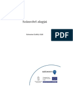 08 Szamvitel Alapjaii PDF