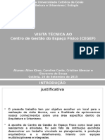 Visita Tecnica A Cegef PDF
