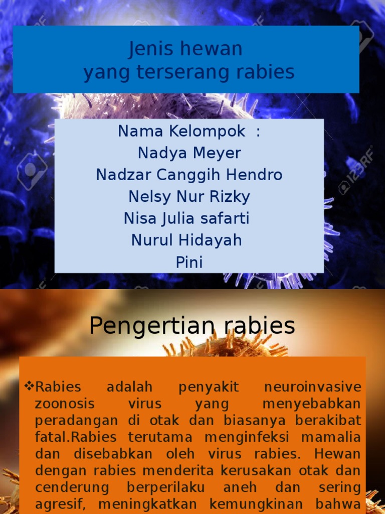 B2 Jenis Hewan Rabies