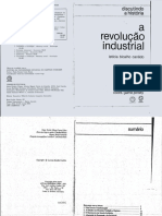 A Revolução Industrial PDF