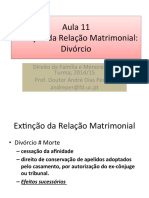 Aula 11 Divo_rcio.pdf