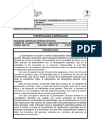 Planificación Curricular MPPE