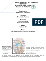 Pares Craneales Eferentes