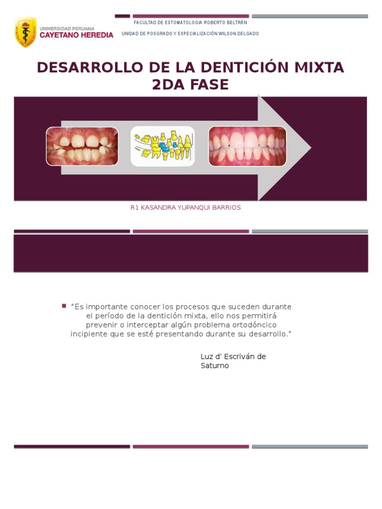 Dentición Mixta Segunda Fase | PDF | Diente humano | Ortodoncia