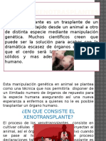 Xenotransplantes - PPTX Robles