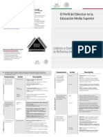 diptico_perfil_director_2014.pdf