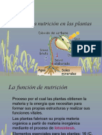 11_nutricion_plantas