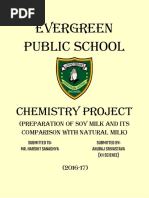 Evergreen Public School: Chemistry Project