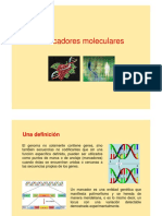 Marcadores moleculares DNA