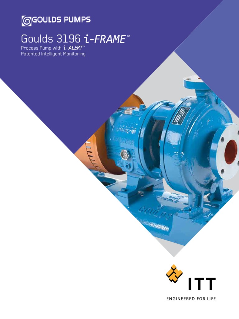 Goulds 3196: Process Pump With Patented Intelligent Monitoring | PDF ...