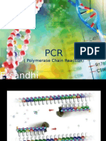 PCR