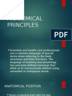Anatomical Principles
