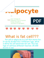 fat cell 