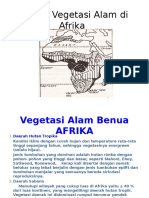 Daerah Vegetasi Di Afrika Dan Penjelasan