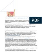 Supraspinatus Tendinitis Jurnal