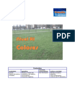 A1 Colores Actividad PDF