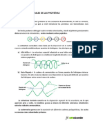 B025.Proteinas Niveles Estructurales PDF