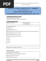 RelatorioDT2010 10G Merged