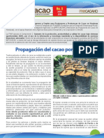 Injerto InfoCacao_No8_Jun_2016 (1).pdf