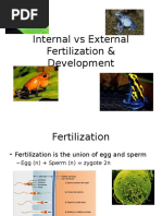 Internal Vs External Development